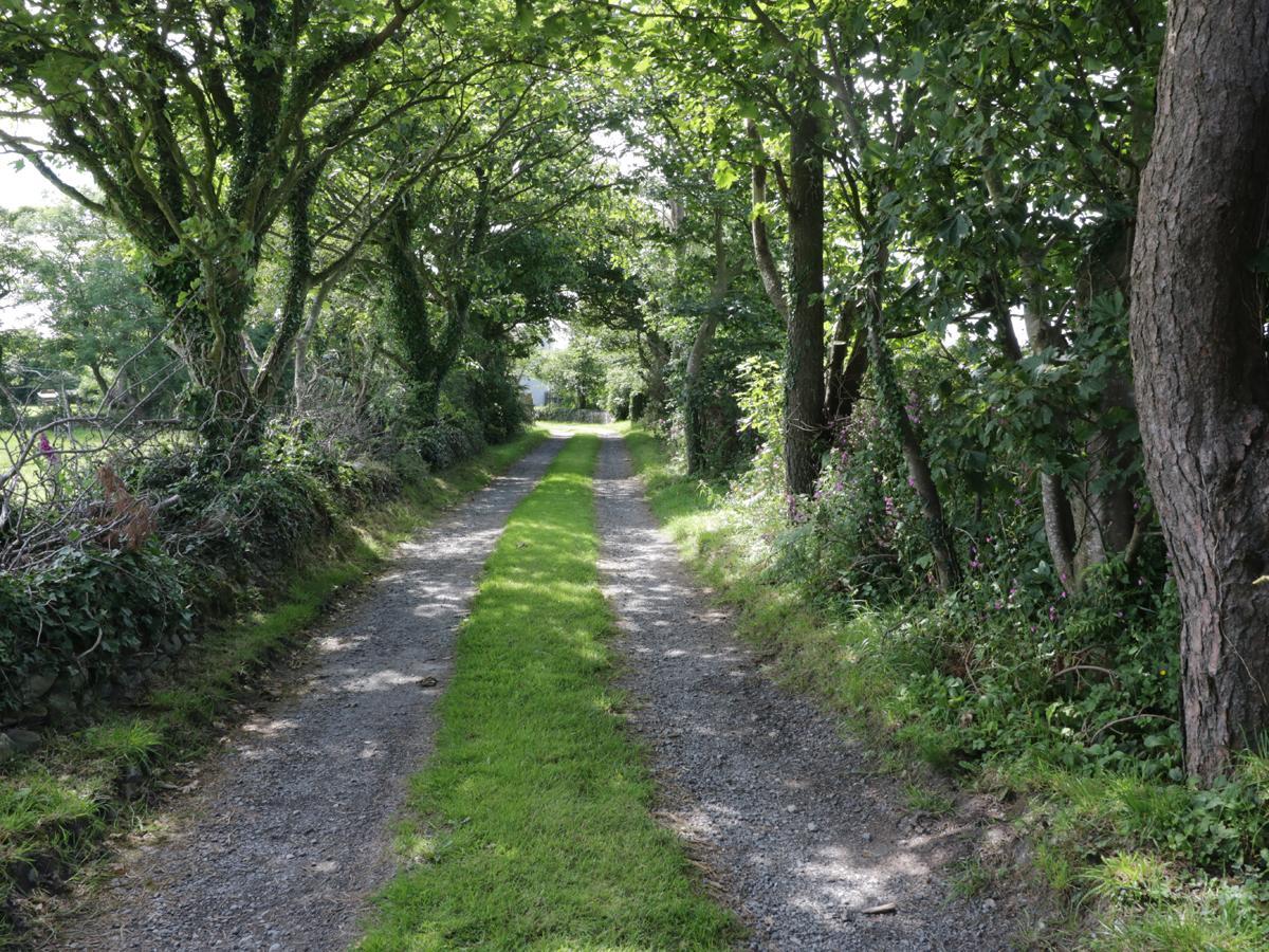 Bodegri Cottage Llanfflewyn Buitenkant foto